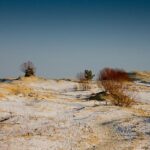 Gandler Sports Group secure rights for London-based EFA franchise – Leyton Orient FC