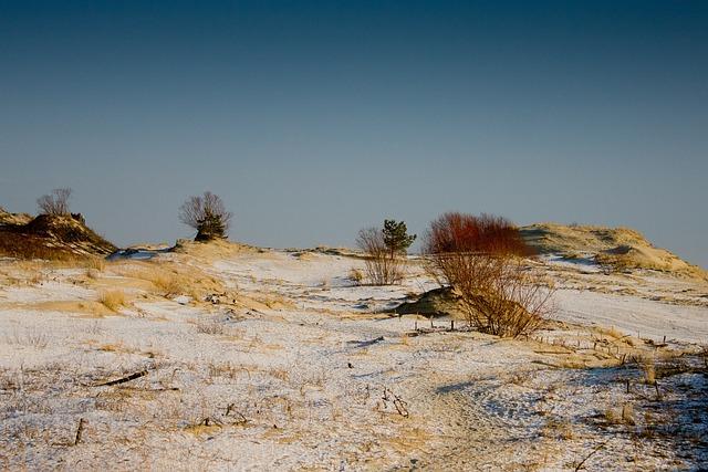 Gandler Sports Group secure rights for London-based EFA franchise – Leyton Orient FC