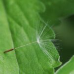 Grace Dent’s London: Lilibet’s, gossip and the joys of an M&S bra fitting – London Evening Standard