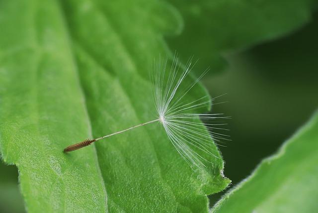 Grace Dent’s London: Lilibet’s, gossip and the joys of an M&S bra fitting – London Evening Standard