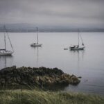 Politics latest: New UK ambassador to the US appointed after Mandelson sacking – Sky News