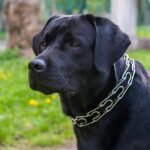 ‘Christmas Day’ review — it’s the family gathering from hell in Sam Grabiner’s intriguing, beautifully acted play – London Theatre tickets