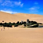 Oasis Sports Centre | Sport and fitness in Covent Garden, London – Time Out Worldwide