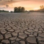 Good news for humans: AI doesn’t do judgement – London Business School