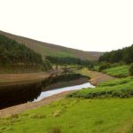 US wholesalers set to divert London business from Howden – Insurance Insider