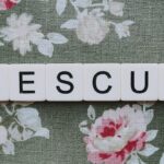 Chief whip’s diaries reveal rescue of Tory MP from ‘KGB agent’ in London brothel – The Guardian