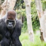 Education – London Zoo