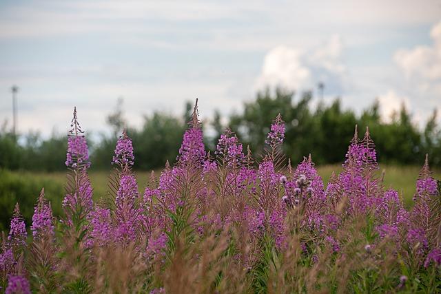 Ivan Toney Arrested After Alleged Headbutt In London Bar Incident – Yahoo Sports UK