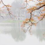 US-Russia talks help drive oil prices lower – London Business News