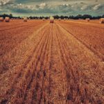 London Sports Festival Unveils New Pop-Up Padel Court at Hay’s Galleria in Partnership with London Bridge City – City AM