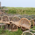 Nicolas Cage’s Walthamstow Nazi flag chaos – London Centric | Jim Waterson