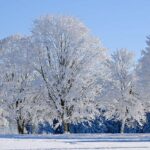 Gallery: Eagles get set for Villa amidst South London snow – Crystal Palace F.C.