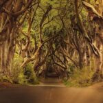 National Development Plan was missed opportunity to underwrite the politics of a shared economy – agendaNi