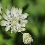 All the major sports events coming to London in 2026 – Time Out Worldwide