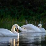 Grindr Burglary Duo Jailed After London Crime Spree – Evrim Ağacı