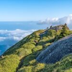 Empowering limb difference: making sports accessible for all – kcl.ac.uk