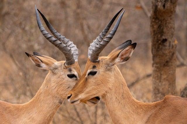 Two shot and two stabbed in shocking four days across London – Hackney Gazette