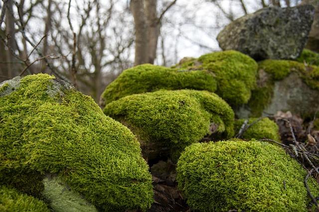 Met Police and Sadiq Khan hail lowest homicide rates since 2014 – BBC