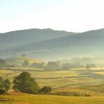 Helen George and Felicity Kendal to star in ‘High Society’ at the Barbican – London Theatre