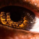 SEN pupils ‘bullied, punished and labelled naughty’ at North London school, claim parents and staff – My London