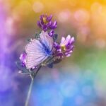 Eurovision Song Contest live tour to begin in London – Yahoo News UK