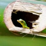 Five questions with Richard Fleeshman – London Theatre