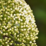 Musk’s GROK says Farage is talking tosh on London ‘crime wave’ – Searchlight Magazine