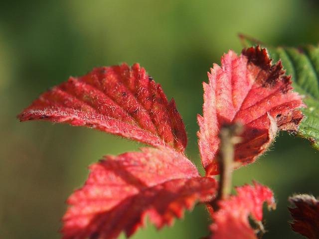 Kemi Badenoch joins protesters calling for Government to stop China mega-embassy – London Evening Standard