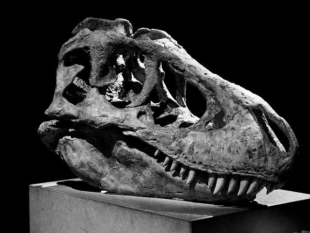 Dinosaur bones forfeited to settle Unexplained Wealth Order case – National Crime Agency