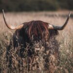 Teaching union calls for ‘brighter future’ for Scottish education – london-now.co.uk