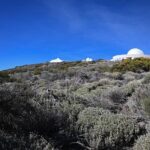 Is London the best place in the UK for space-themed entertainment? – swlondoner.co.uk