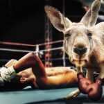 Chisora to fight Wilder in London in April – BBC