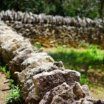 ‘Boris Godunov’ review — Bryn Terfel is extraordinary as a man visibly tortured by his crime – London Theatre