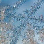 Mervyn Frost and Ethics in International Politics – King’s College London