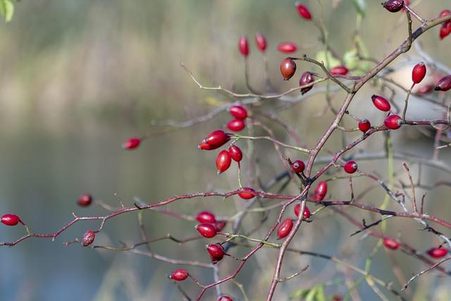 Dr Brian Klaas | UCL Faculty of Social & Historical Sciences – University College London