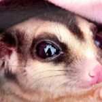 ‘Plainly wrong’: London flat dwellers fight shock £200,000 heating bill – The Guardian