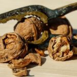 The Nutcracker family show set for St Martin’s Theatre this Christmas – West End Theatre