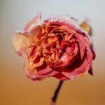 The fall in violent crime in London is welcome but it’s not the whole story – London Evening Standard