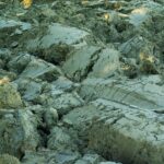 Labour MPs revolt against Starmer over release of Mandelson files – London Business News