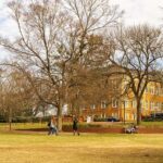 State school sees 62 pupils with Oxbridge offers – BBC