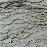 London TV Screenings 2026: Sphere Abacus to launch true crime slate with five new series – Señal News – Senal News