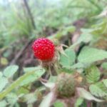 $10 billion BBC trial date set over editing scandal – London Business News