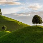 Dave Hill: Urban villages, protest politics and ‘Zionist’ bread – OnLondon