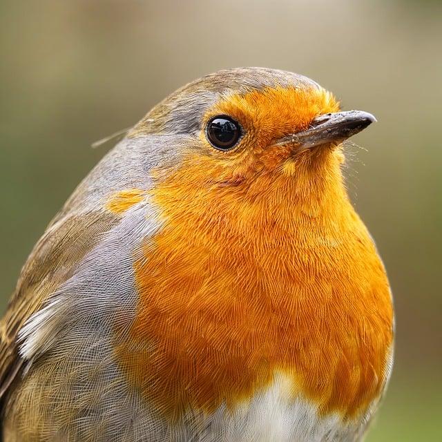 Reform UK score shock win in Peterborough by-election – London Business News