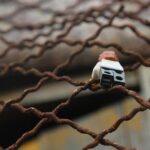 ‘Dangerous’ prisoner escapes from prison just ONE WEEK after last going on run – GB News