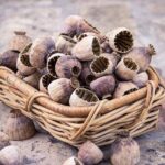 London rave history celebrated in new Sports Banger and adidas collaborative capsule – DJ Mag