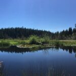 Stanley Tucci steps back from ‘Springwood’ at Hampstead Theatre – London Theatre