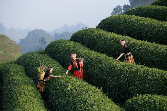 Gigantic immersive art experience begins construction in London’s Westfield – Shortlist