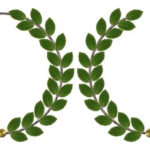 London dominates national home care business awards with five wins – London Post