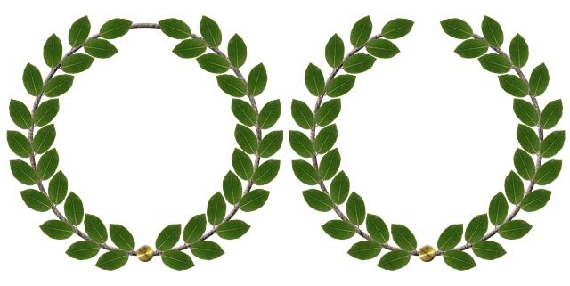 London dominates national home care business awards with five wins – London Post